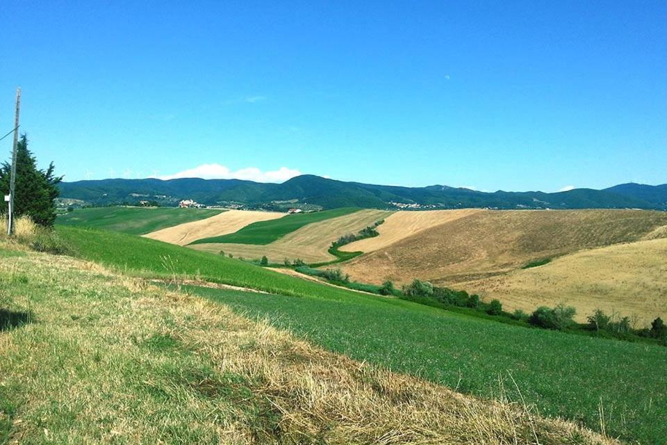 Villaggio Residence La Pieve di Pomaia Camera foto